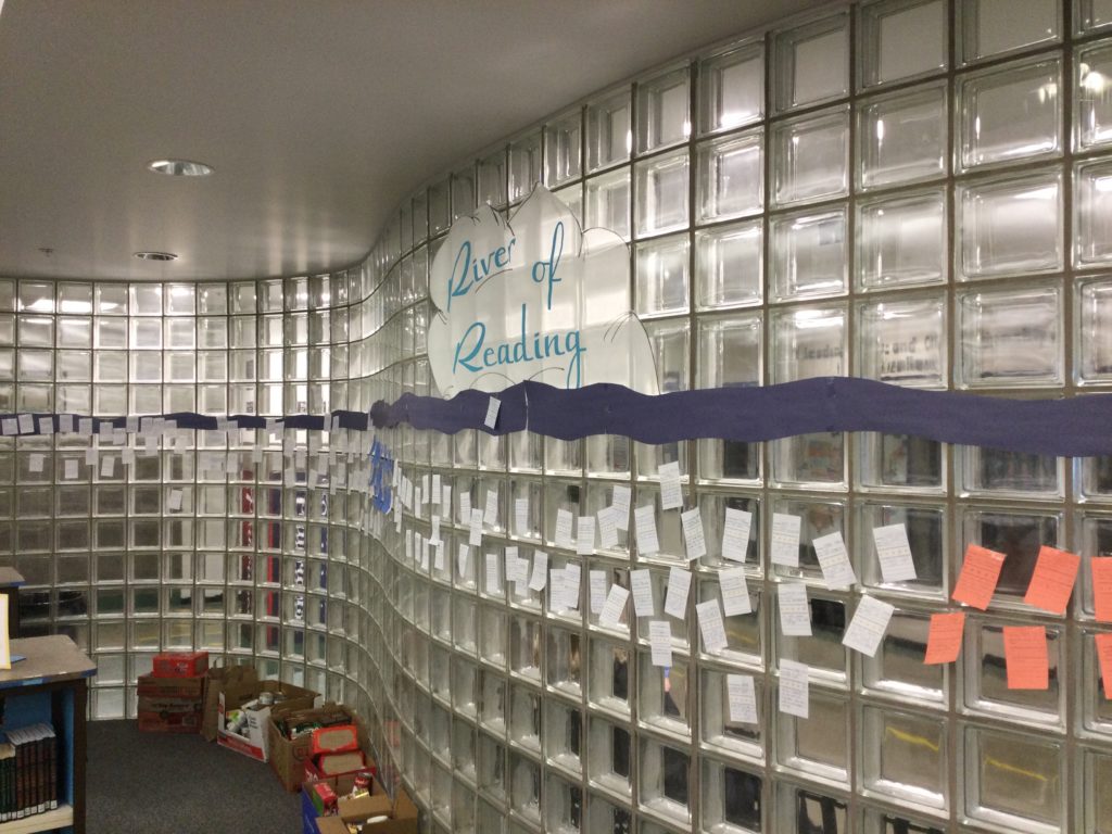 picture of the "River of Reading" display in the library